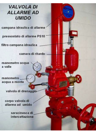 About Image1